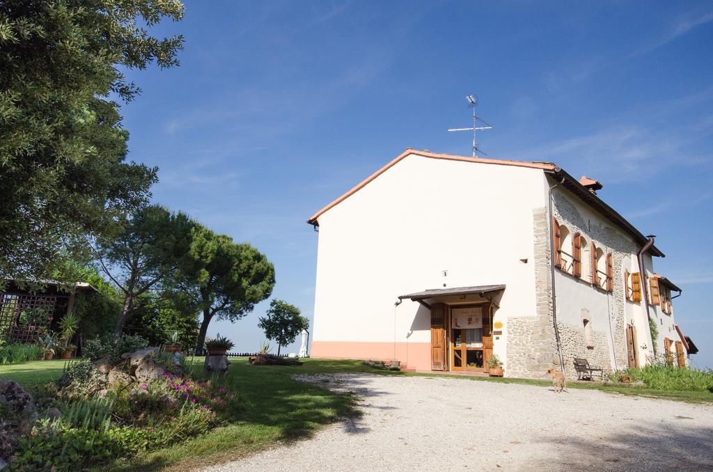 Ca'de'gatti Faenza